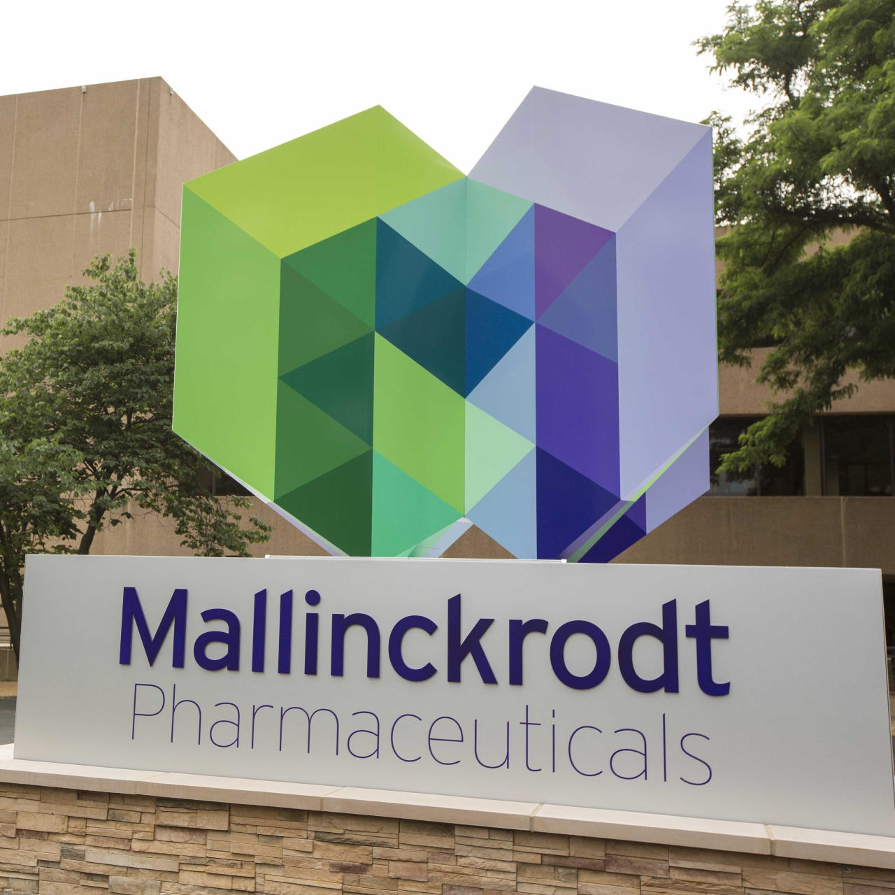 Hepatorenal Syndrome Awareness Day